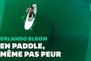 Sur son paddle, Orlando Bloom s'est fait un drôle d'ami