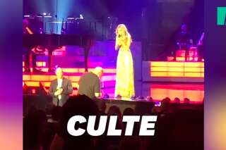 Céline Dion a interrompu son concert pour un fan un peu pressé