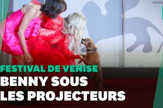 Mostra de Venise 2021: Ce chien a volé la vedette à Kate Hudson