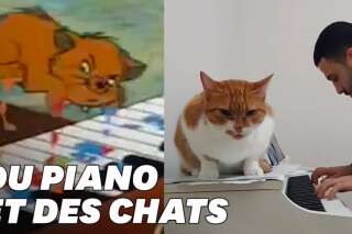 Les chats mélomanes de ce musicien vont vous rappeler un célèbre dessin animé