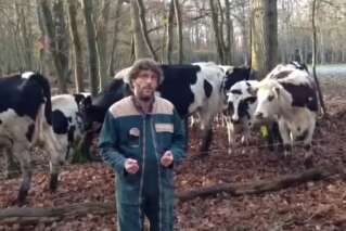 Cet agriculteur fait tout pour le bien-être de ses vaches et il veut que vous le sachiez