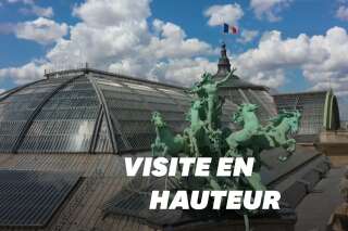 Le Grand Palais vu depuis le ciel de Paris (et c'est féerique)