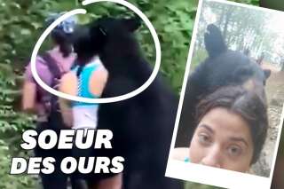 Approchée par un ours, cette promeneuse n'a pas oublié de faire un selfie