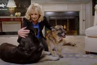 Champ, le chien de Joe et Jill Biden, décède à 13 ans
