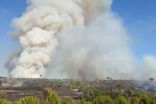Incendies dans le Gard et  l'Hérault: plus de 500 hectares partent en fumée