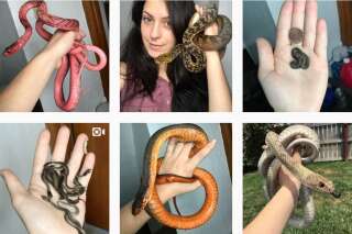 Ce compte Instagram veut vous réconcilier avec les serpents