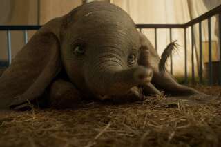 Voici pourquoi les animaux du “Dumbo” de Tim Burton ne parlent pas