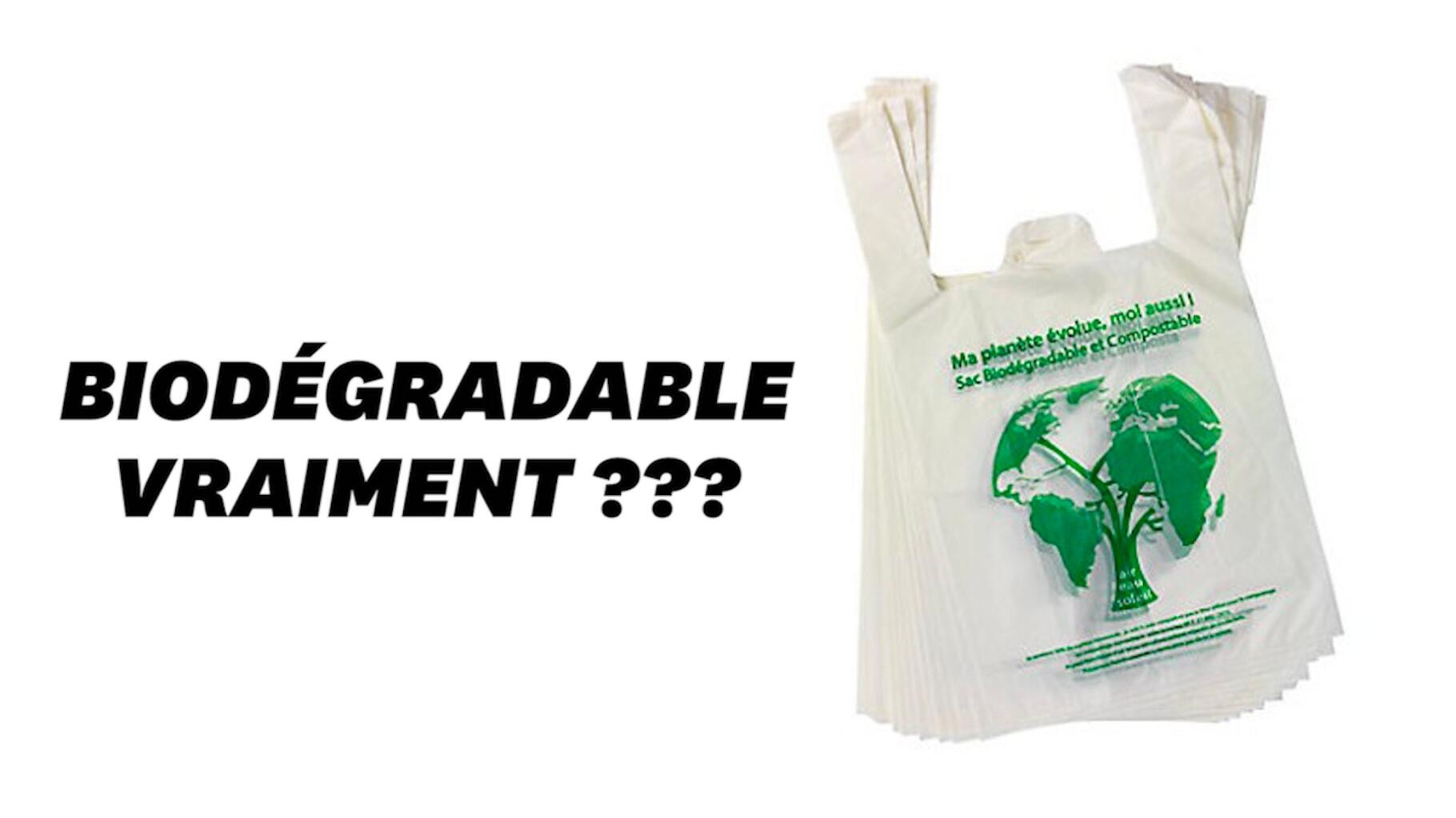 Les sacs plastiques biodégradables ne sont pas si dégradables que ça -  Numerama