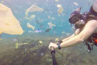 Ce plongeur se retrouve dans un océan de déchets au large de Bali