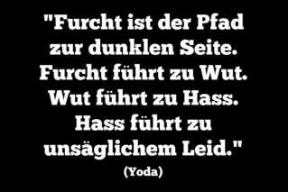 Attentat de Berlin : Die Welt cite maître Yoda pour inciter les Allemands à ne pas céder à la panique