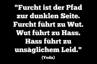 Attentat de Berlin : Die Welt cite maître Yoda pour inciter les Allemands à ne pas céder à la panique
