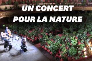 L'opéra de Barcelone rouvre avec des plantes pour spectateurs