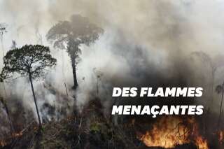 Au Brésil, la forêt amazonienne continue de brûler (et toujours plus)