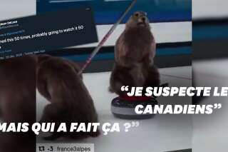 Sur Twitter, les Américains découvrent les marmottes de France 3