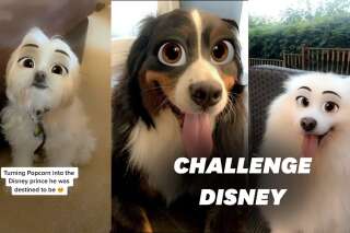 Sur TikTok, ils transforment leurs chiens en personnages Disney