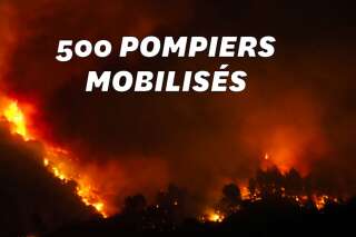 Un feu près de Carcassonne ravage environ 900 hectares de pinède