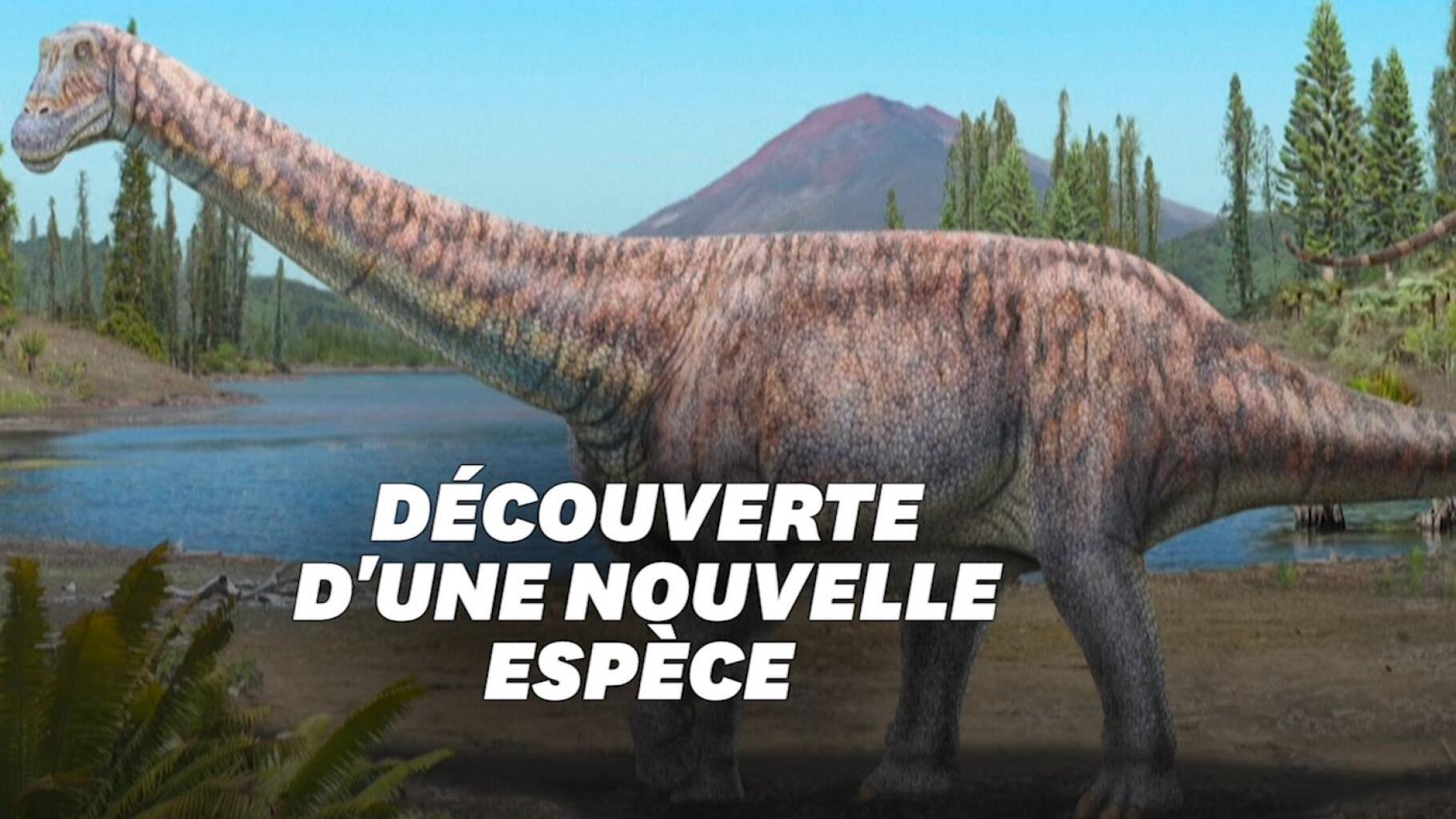 Una nueva especie de dinosaurio ha sido descubierta en Chile