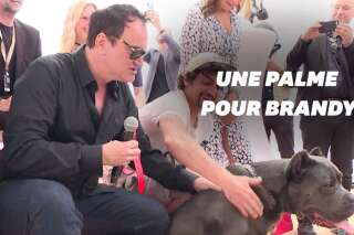 Cannes 2019 : Le chien de “Once Upon A Time... In Hollywood