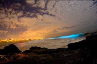 Pourquoi les vagues de la plage de San Diego sont-elles devenues fluorescentes ?