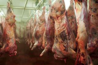 Ce que le nouvel étiquetage des produits ne nous dit pas sur la cruauté de la viande