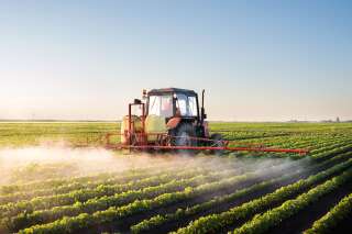 Réduire les pesticides ne nuit pas à la rentabilité d'une exploitation agricole