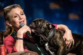 Carrie Fisher avait fait de son chien Gary une vraie star