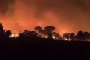 Dans le Var, des milliers d'hectares brûlés dans un incendie violent