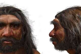 Cette nouvelle espèce d'homme préhistorique serait plus proche de nous que Néandertal