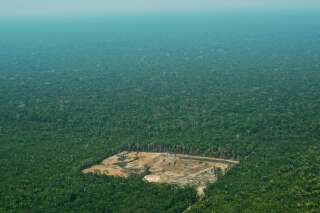 Au Brésil, la déforestation gagne toujours du terrain