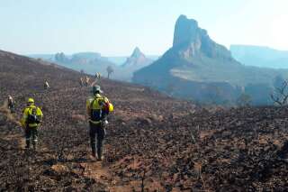 En Bolivie les incendies ont ravagé près d'un million d'hectares