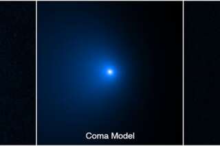 Découvrez Bernardinelli-Bernstein, la plus grosse comète jamais observée