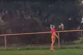 Accusé d'avoir tué un poulet pendant un match, un footballeur croate risque la prison