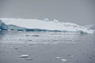 L'Antarctique fond six fois plus vite qu'il y a 40 ans