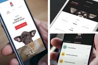30 Millions d'Amis permet de signaler les animaux maltraités depuis son smartphone