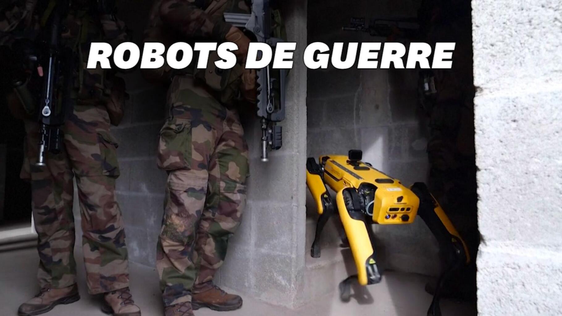 Des chiens robots testés sur une base de l'armée américaine