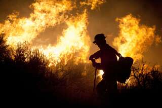 Incendies: les très sérieuses études selon lesquelles il faut combattre le feu... par le feu