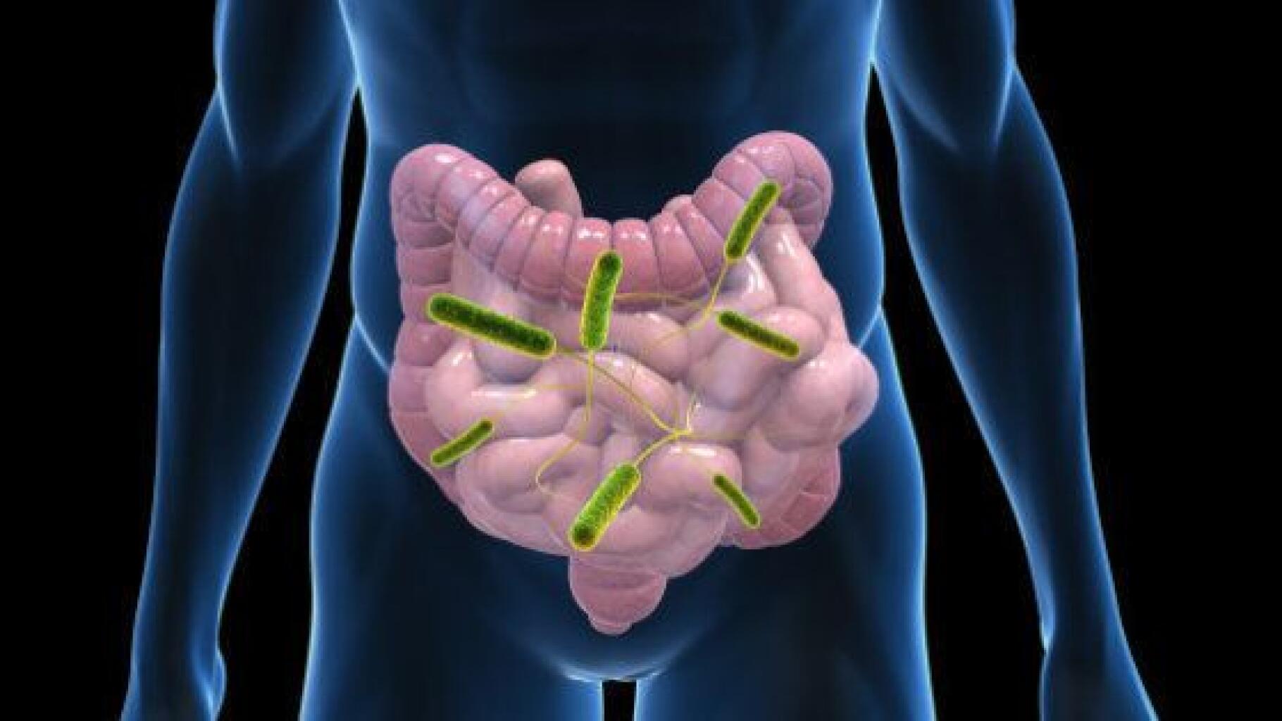 Vuoi aiutare la scienza?  Invia il tuo tubo a questi ricercatori