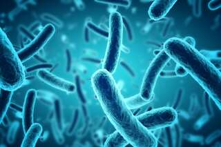 Salmonelle : Comment cette bactérie répandue peut contaminer la nourriture