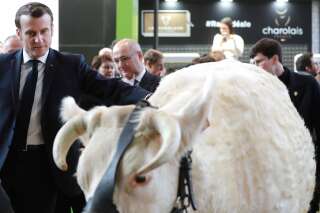 Ukraine: Macron contraint de revoir son programme au Salon de l'agriculture