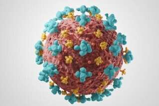 Coronavirus: premiers cas de la mutation du Sars-COV-2 détectés en France et en Espagne