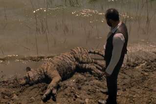 Westworld saison 2: Mais que vient faire ce tigre dans le teaser?