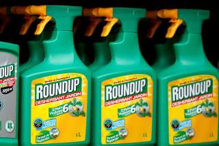Glyphosate de Monsanto: grâce aux internautes, la Commission européenne va être obligée de statuer