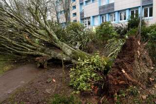Tempête Zeus: deux morts et encore 62.000 foyers privés d'électricité