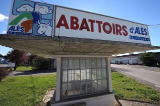Abattoir d'Alès: après le procès, les associations dénoncent 