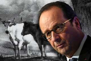 Patrimoine universel: L'éventuelle mesure choc de Hollande pour 2017 concrétiserait le fantasme vieux de 200 ans...  de s'offrir une vache