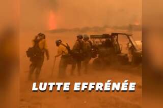 États-Unis: les pompiers face au pire feu de forêt de l'histoire du Colorado