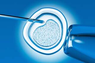 La loi bioéthique plus souple sur les cellules souches embryonnaires