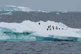 La fonte de la banquise antarctique atteint un record en 2022