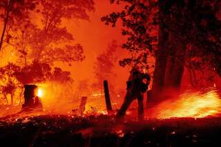 En Californie, les 8000 km2 incendiés battent un triste record datant de1987