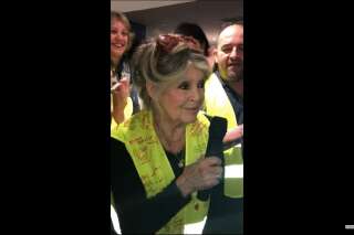 Brigitte Bardot fait une visite surprise auprès des gilets jaunes